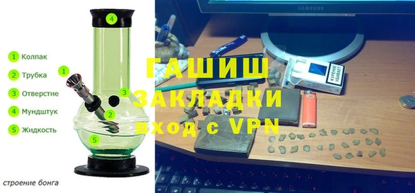 дурь Бердск