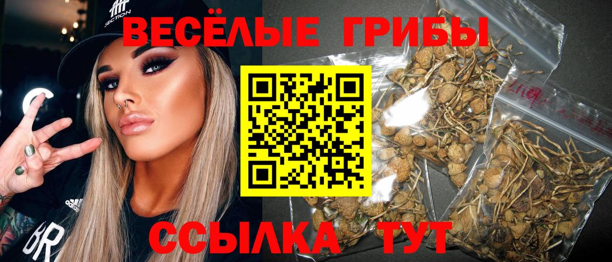 купить  цена  Галлюциногенные грибы Psilocybine cubensis  Вход с VPN  Псилоцибиновые грибы мухоморы  Новочебоксарск 